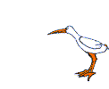 bird worm - gif animated