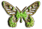 green butterfly animation