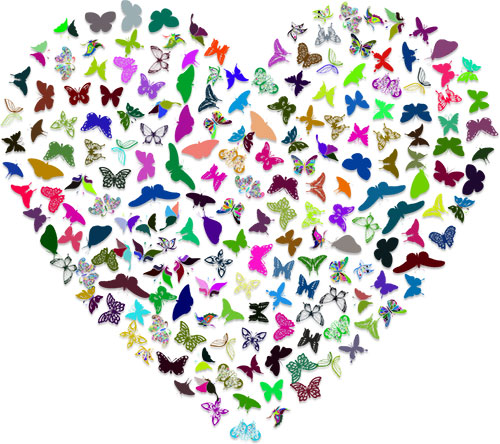 butterfly heart