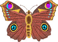 Butterfly Clipart Animated