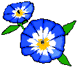 Animated Blue Flower