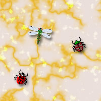 insects backgrounds