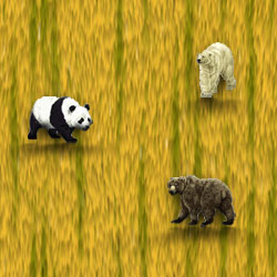 panda, polar and grizzly bears