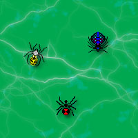 spiders including black widow