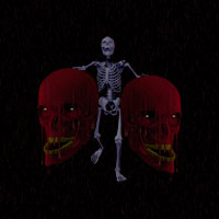 skeleton with 2 skulls