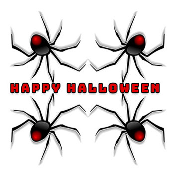 spiders