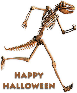 skeleton running