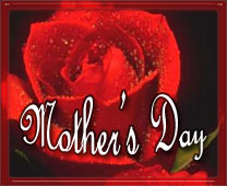 red rose mothers day sign