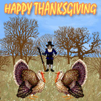 pilgrims turkeys