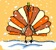 turkey and snow
