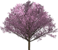 Free Tree Clipart - Animated Tree Gifs