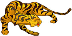 sleek tiger