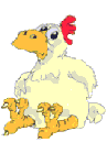 animated chicken