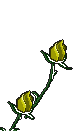yellow rose - free gifs & animations