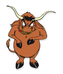 bull