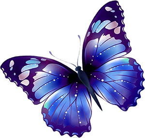 vibrant blue butterfly