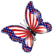 American butterfly animation