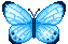butterfly animation light blue