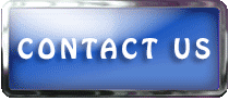 contact us button animated blue