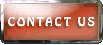 contact us animated button
