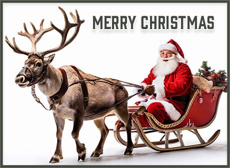 santa reindeer
