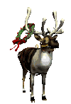 animated reindeer playing