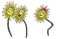 sunflower animation