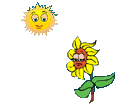flower and sun animated gif