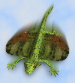 flying lizard backgrounds