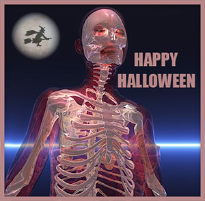skeleton Happy Halloween