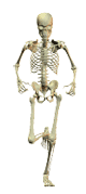skeleton on the run