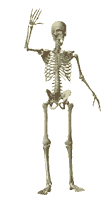 waving skeleton