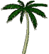 dancing palm tree - free gifs & animations