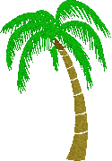light green palm tree