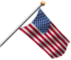 American Flag - White