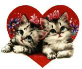 cats and hearts